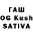 Галлюциногенные грибы MAGIC MUSHROOMS Serge Ku