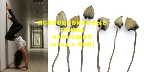 дурь Михайловск