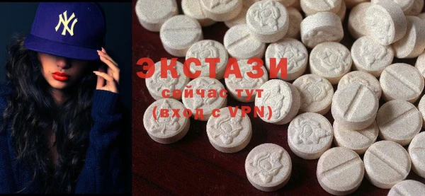 ECSTASY Бородино